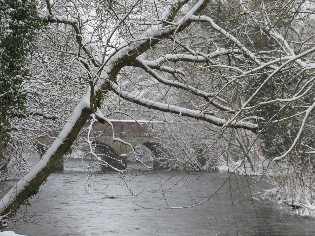 ホテル The Swan At Stoford Stapleford  エクステリア 写真