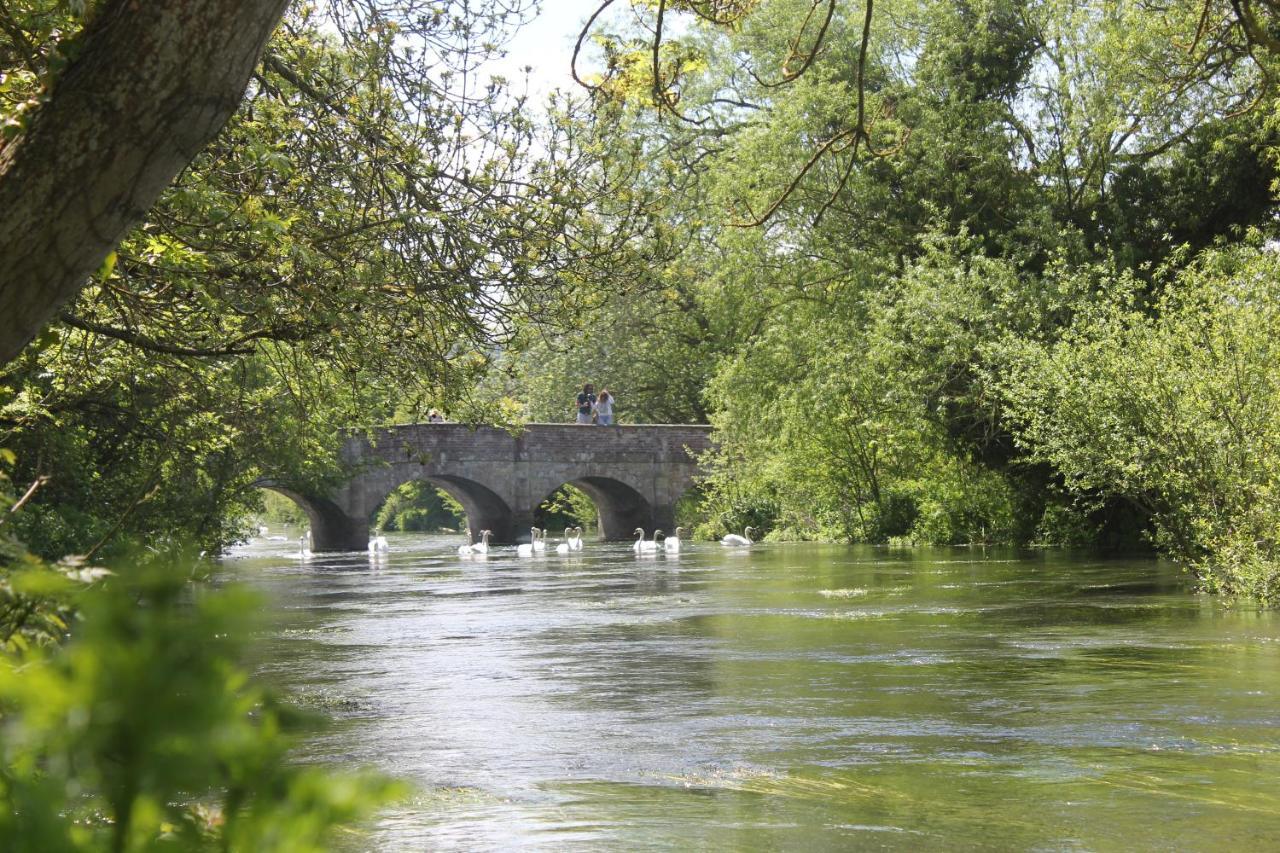 ホテル The Swan At Stoford Stapleford  エクステリア 写真